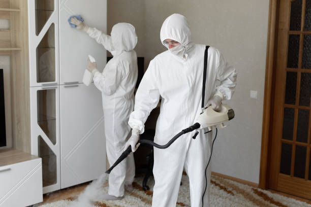 24/7 Emergency Odor Removal experts in Lotus, CA