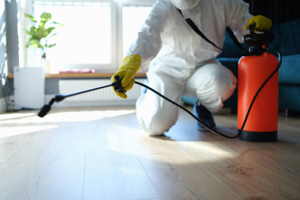 Reliable Odor Removal contractor in Lotus, CA by Crime Scene Cleaner Online